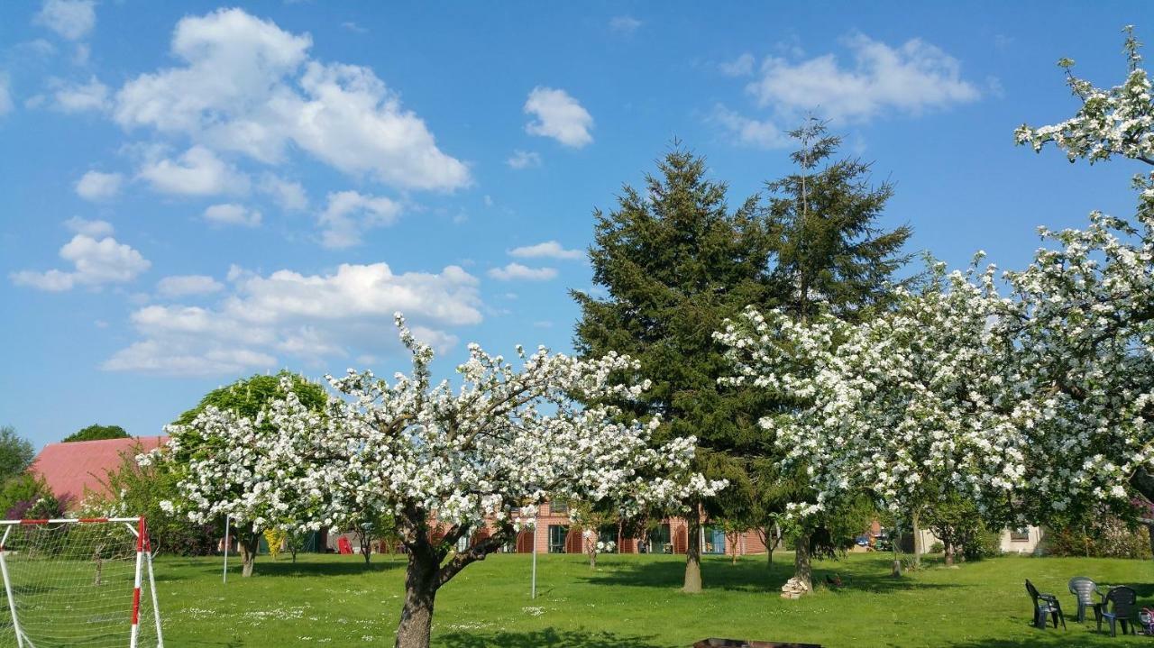 Landferienhof Müritzufer Ludorf Exterior foto